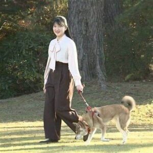 愛犬とお散歩